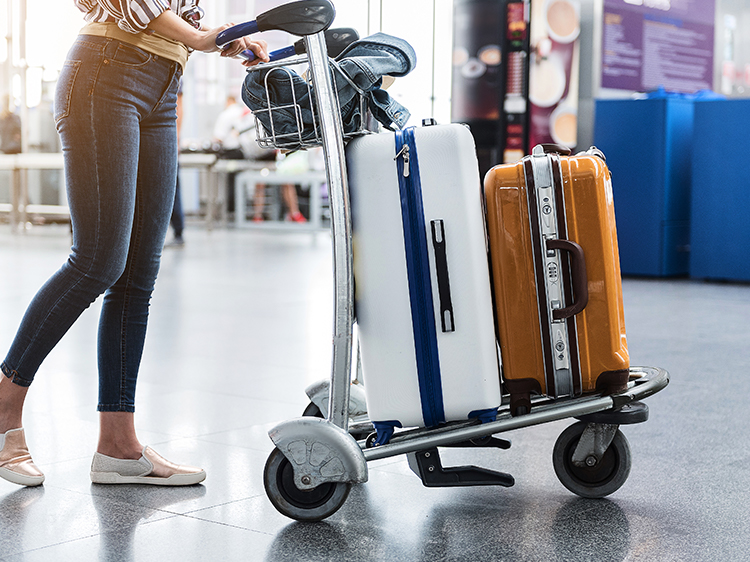 luggage bag branded